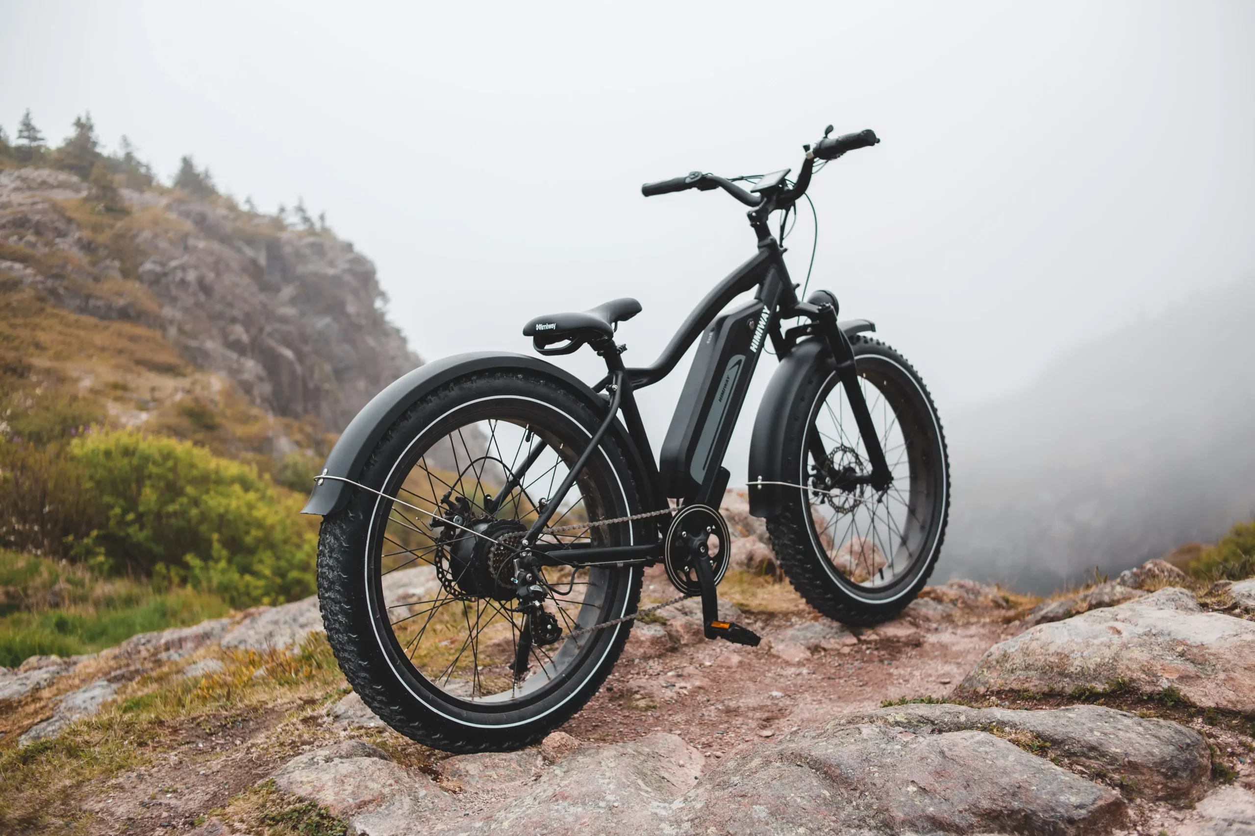 bicicleta electrica