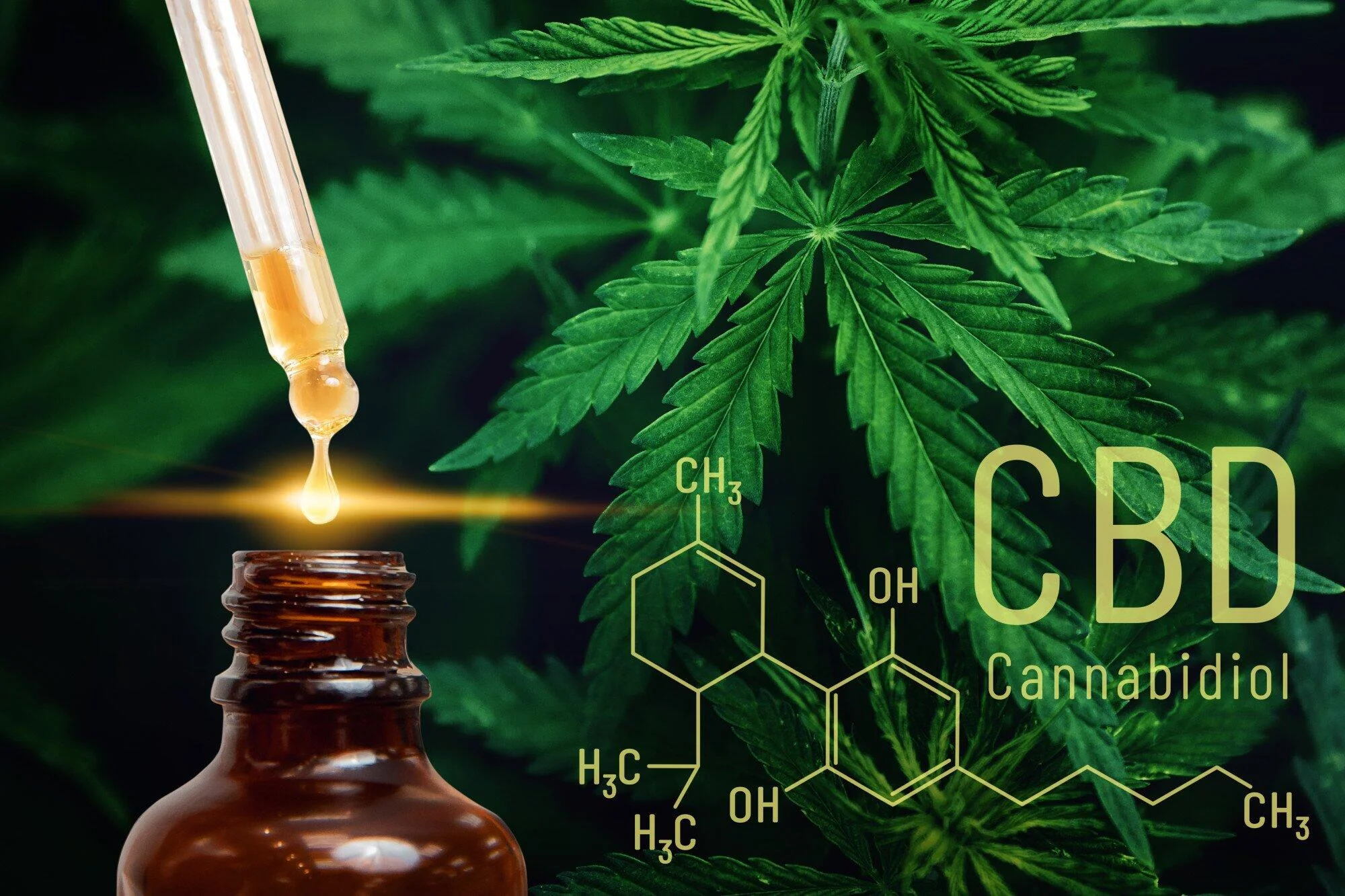 terpene infused