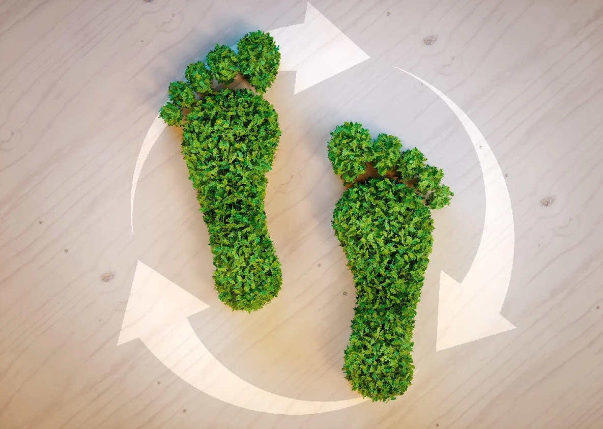 ways to reduce ecological footprint