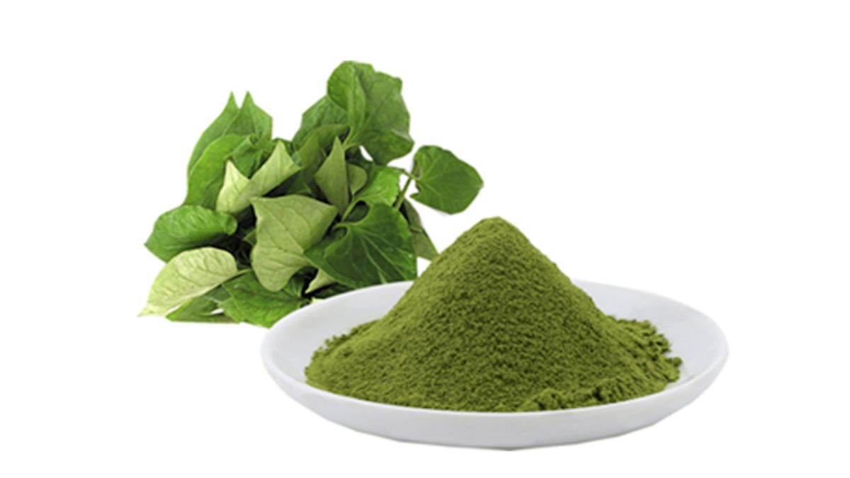 GREEN TEA PHYTOSOME