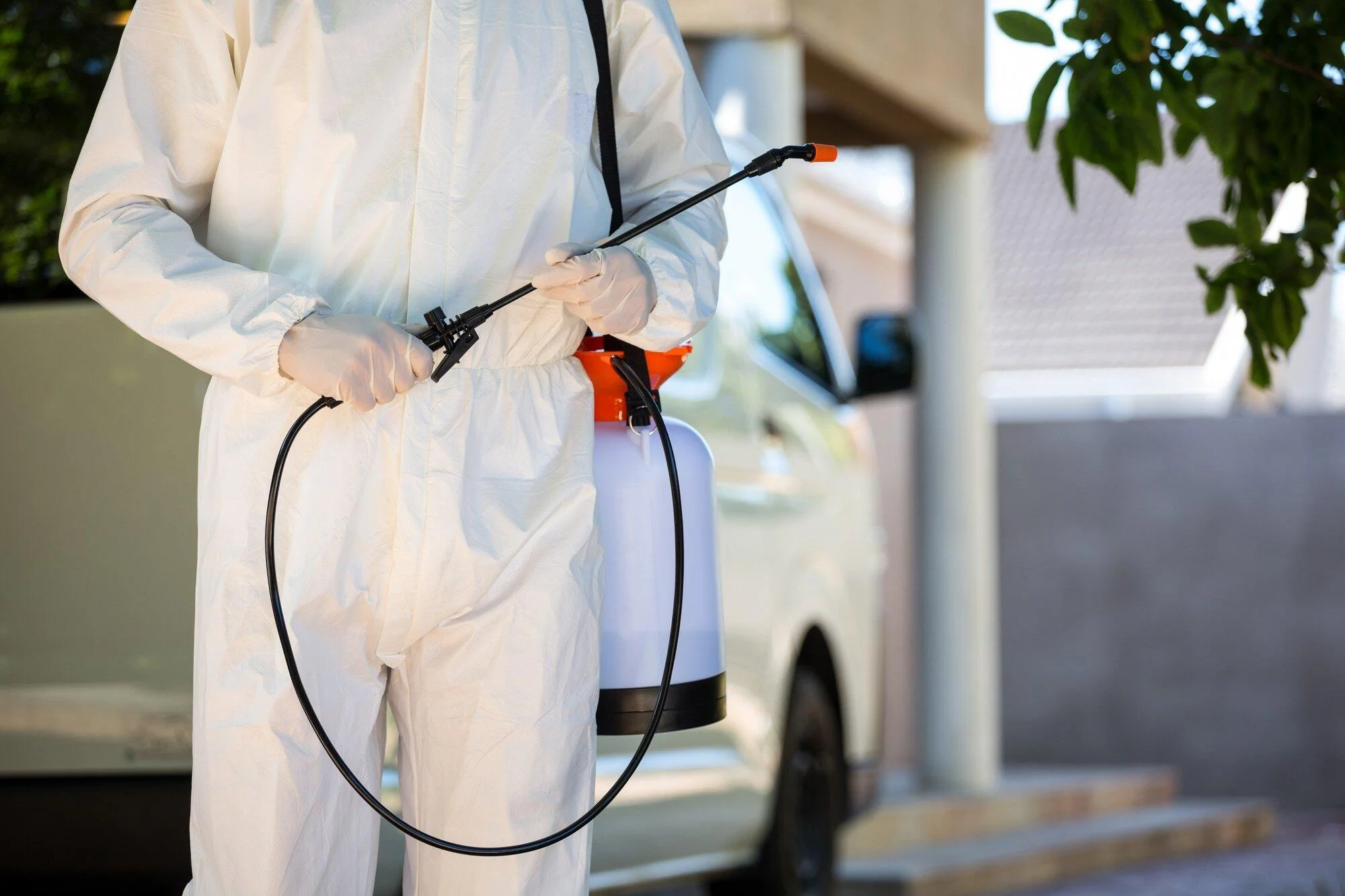 pest control specialists