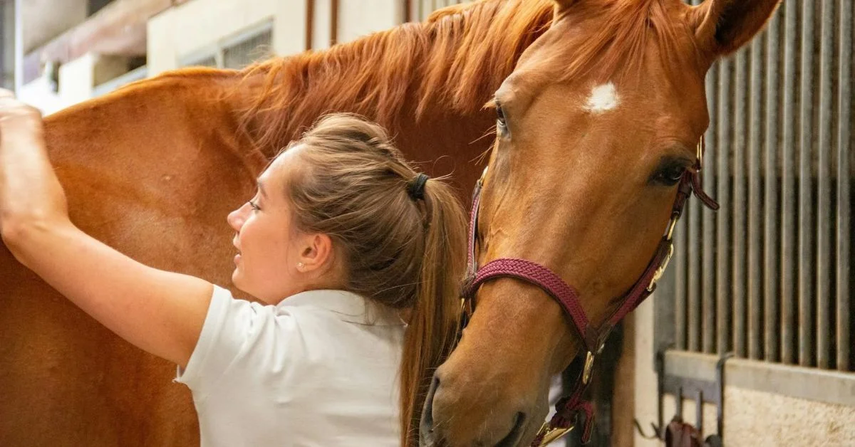 Everything About Kentucky Derby