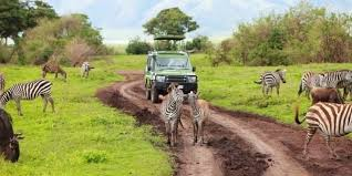 TANZANIA SHARED SAFARIS