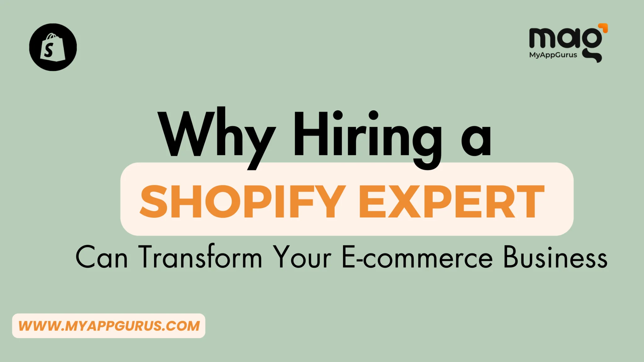 Shopify Expert