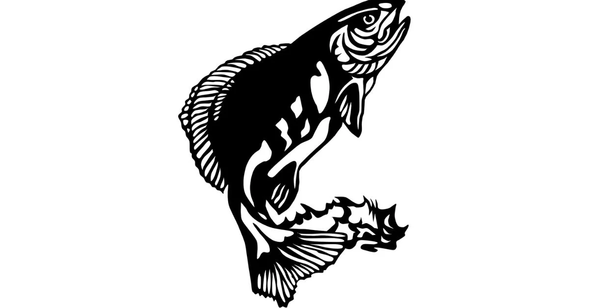 Black Fish with Big Eyes