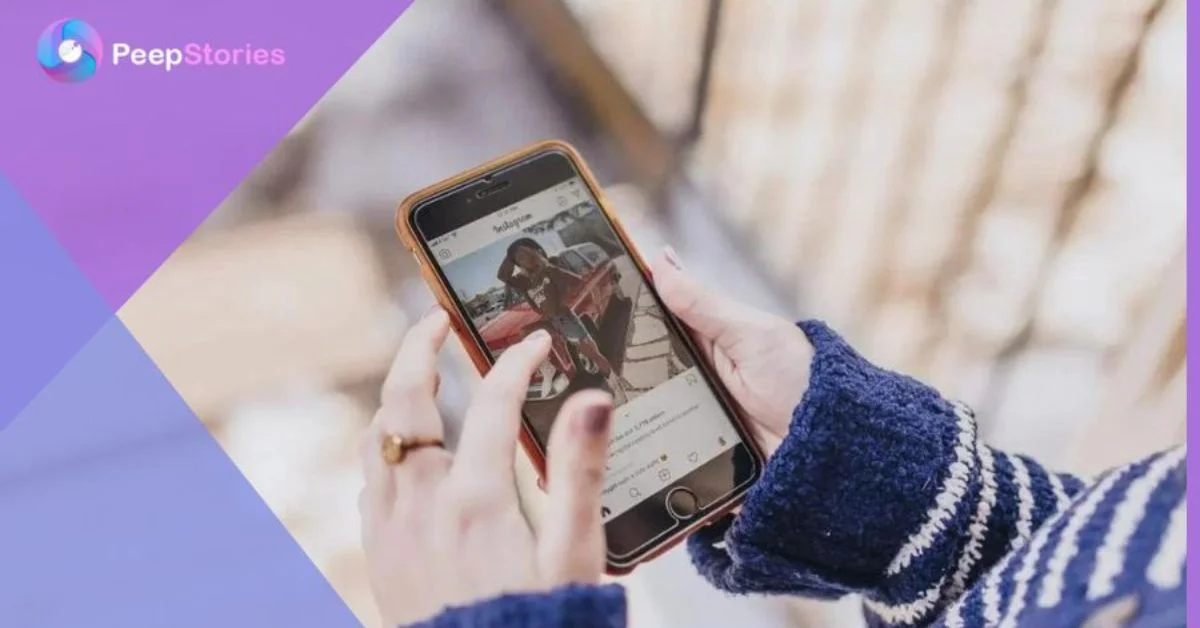 Instagram Story Viewer
