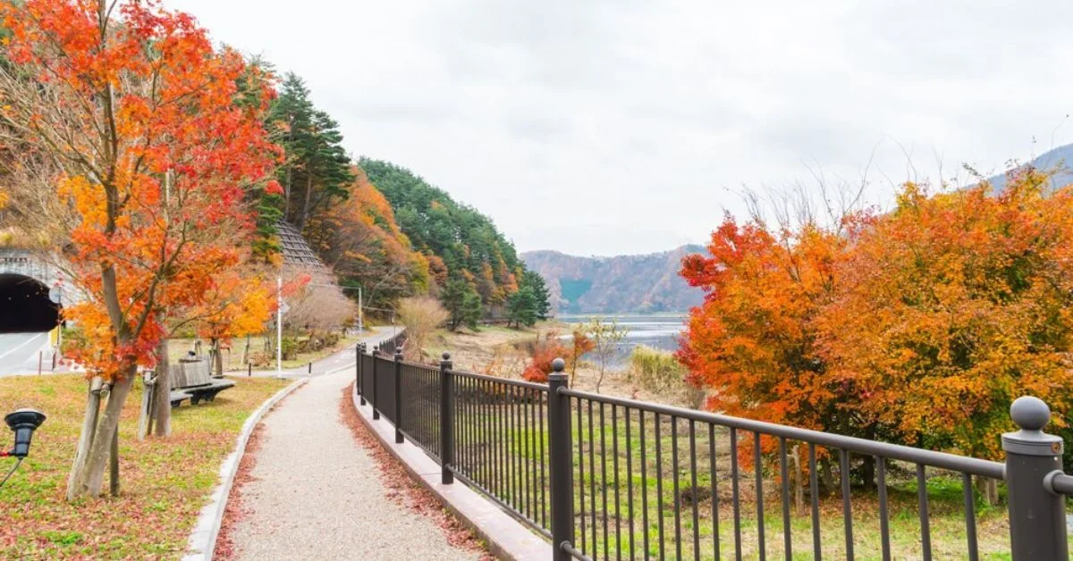 Best Autumn Destinations in Australia