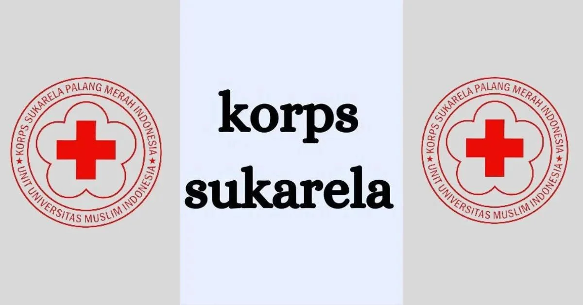 all about korps sukarela