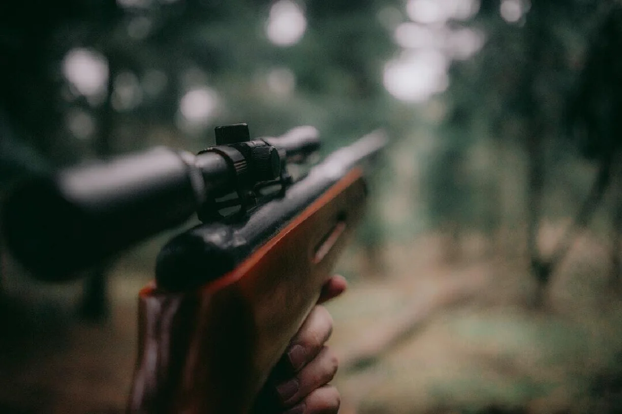 custom hunting rifle