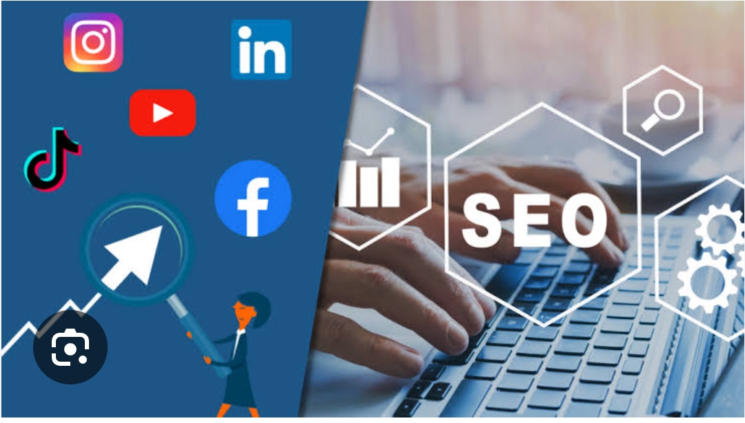 seo services noida, white label seo services india