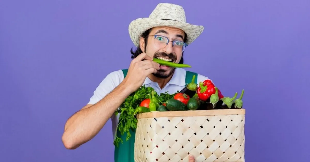 VEGGIE BOXES