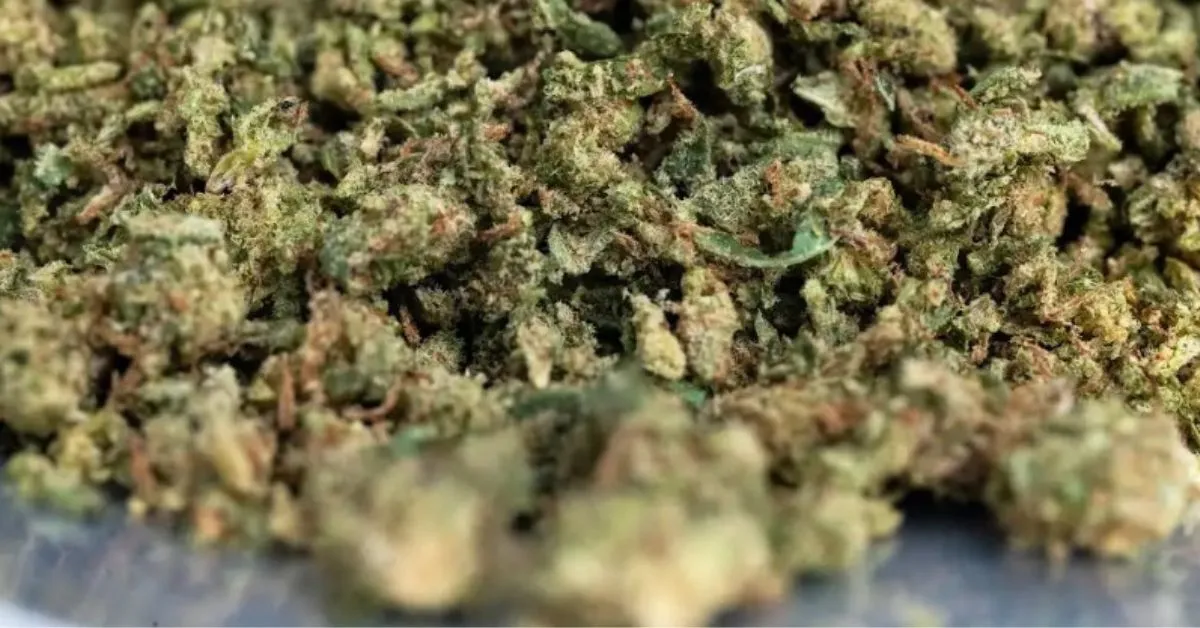 FLOWER TRIM/SHAKE