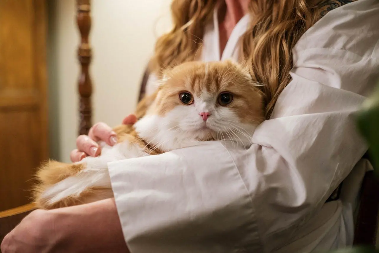 six household essentials every pet owner