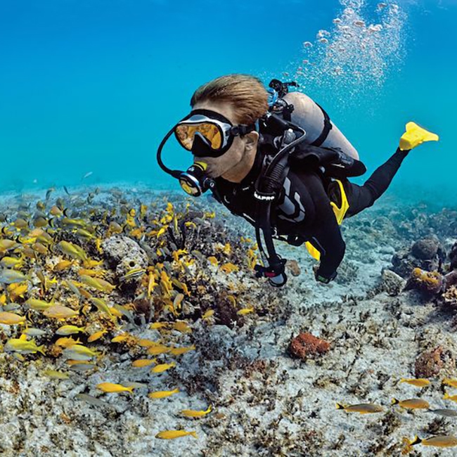 Essential Scuba Diving Clothes: A Guide to Gear and Apparel