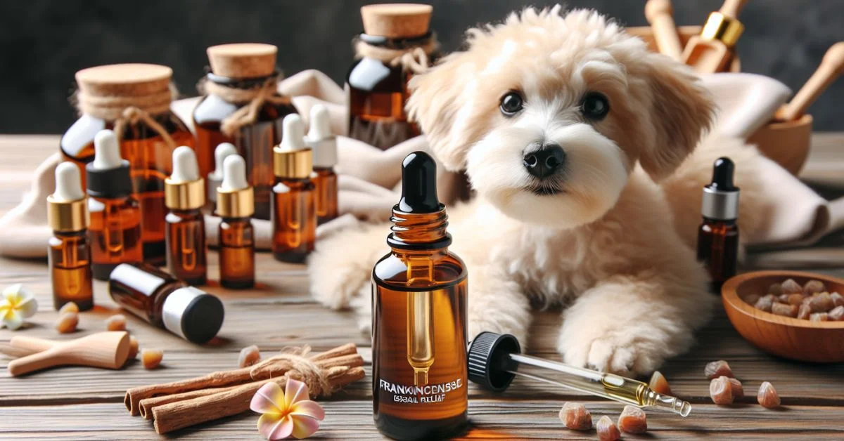 Frankincense