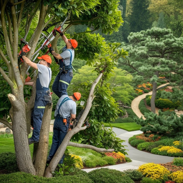 Selecting Affordable Tree Removal Services Without Compromising Quality