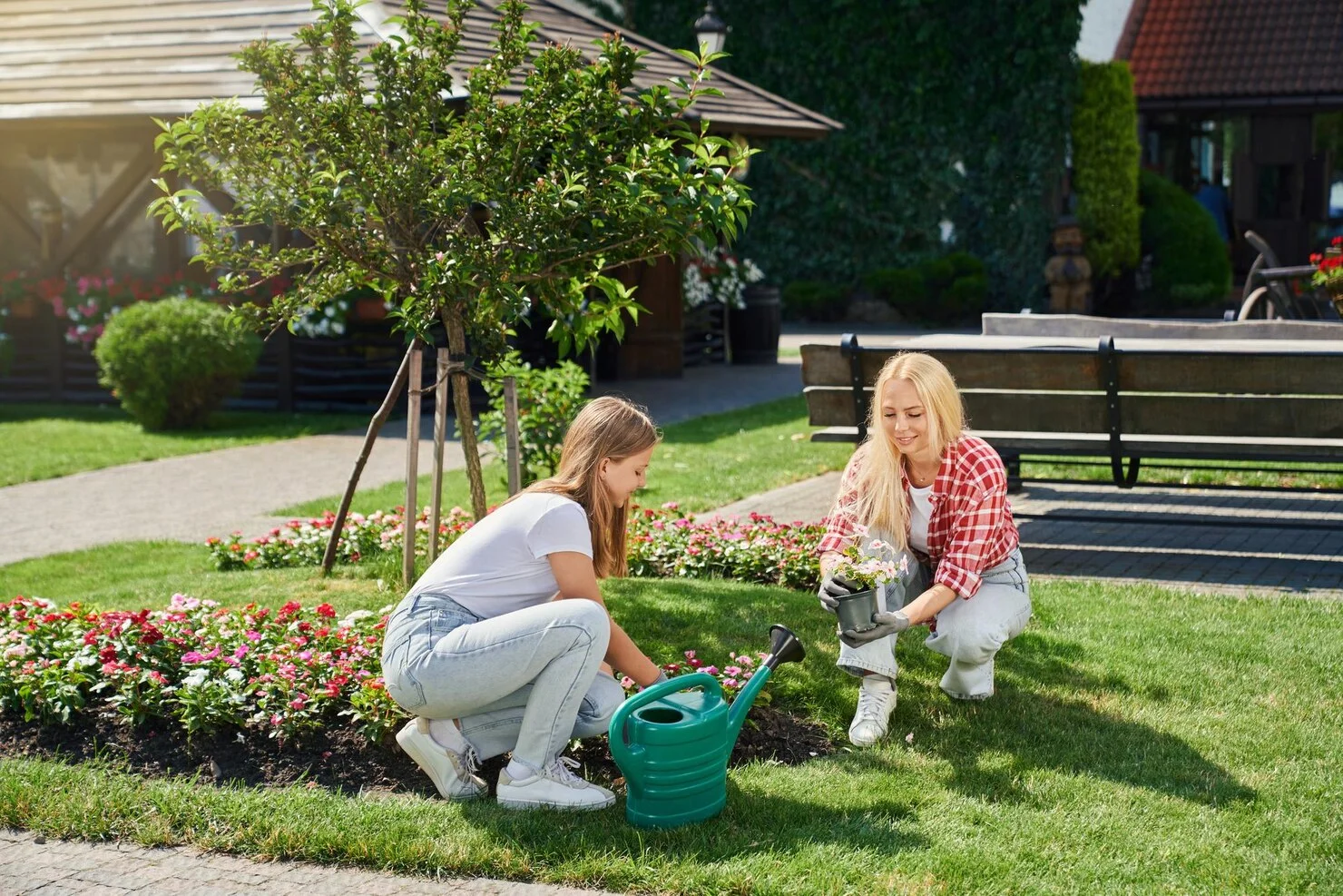 Well Maintained Lawn