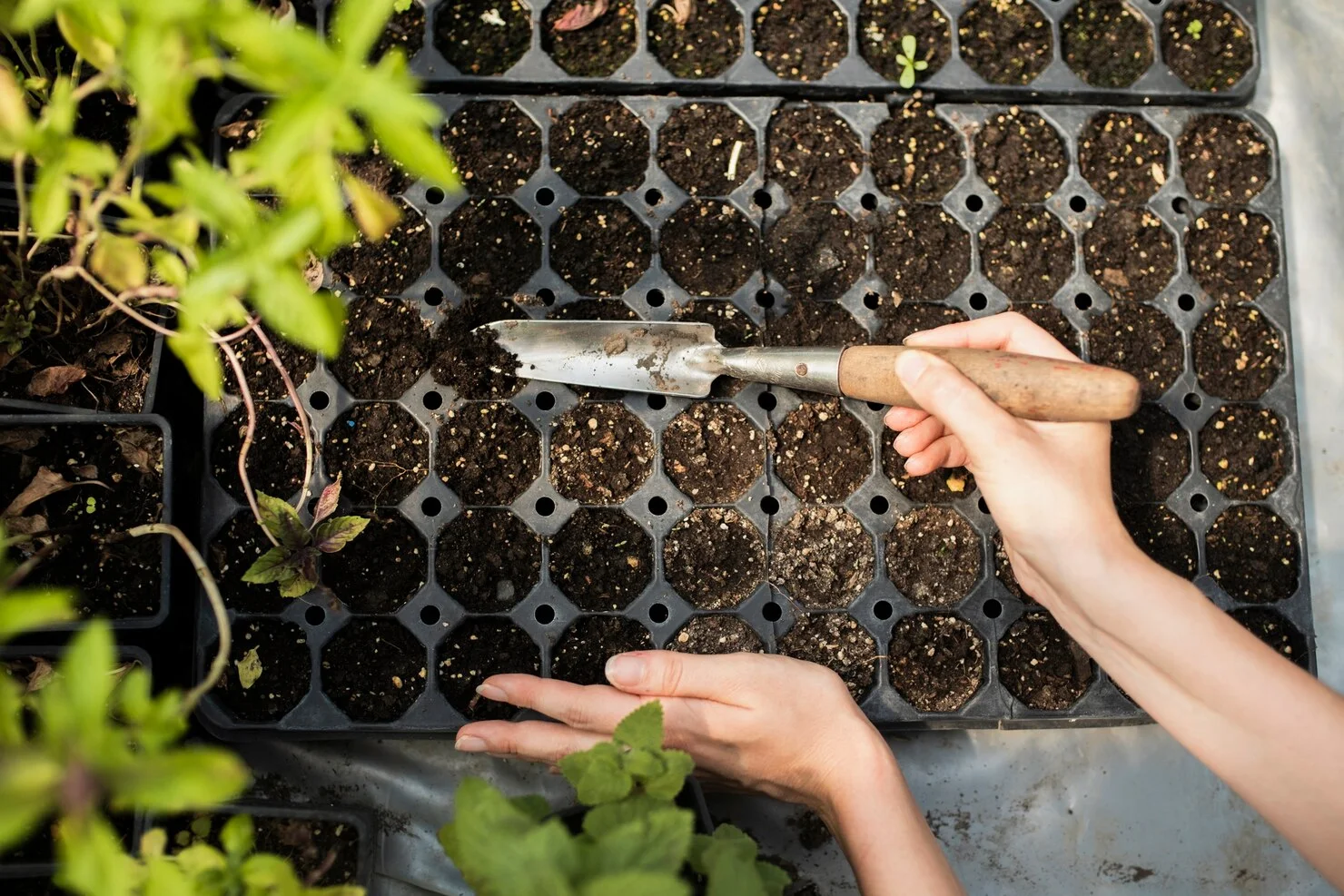 Hydroponics