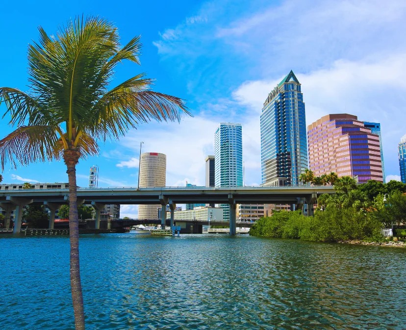 The Future of Tampa Real Estate: Why Cash Sales are Becoming More Popular