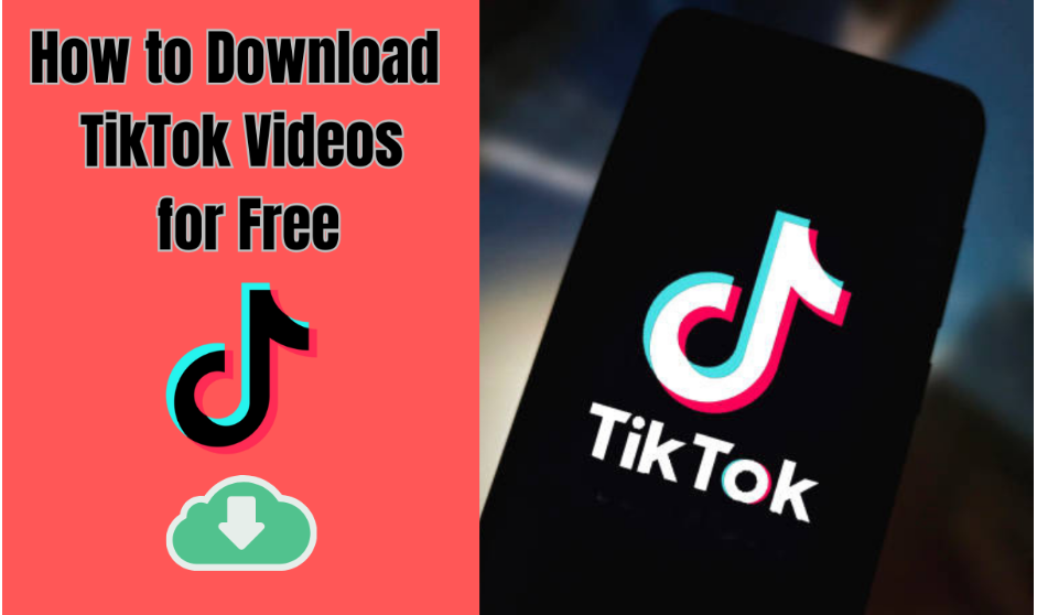 Download TikTok Videos for Free