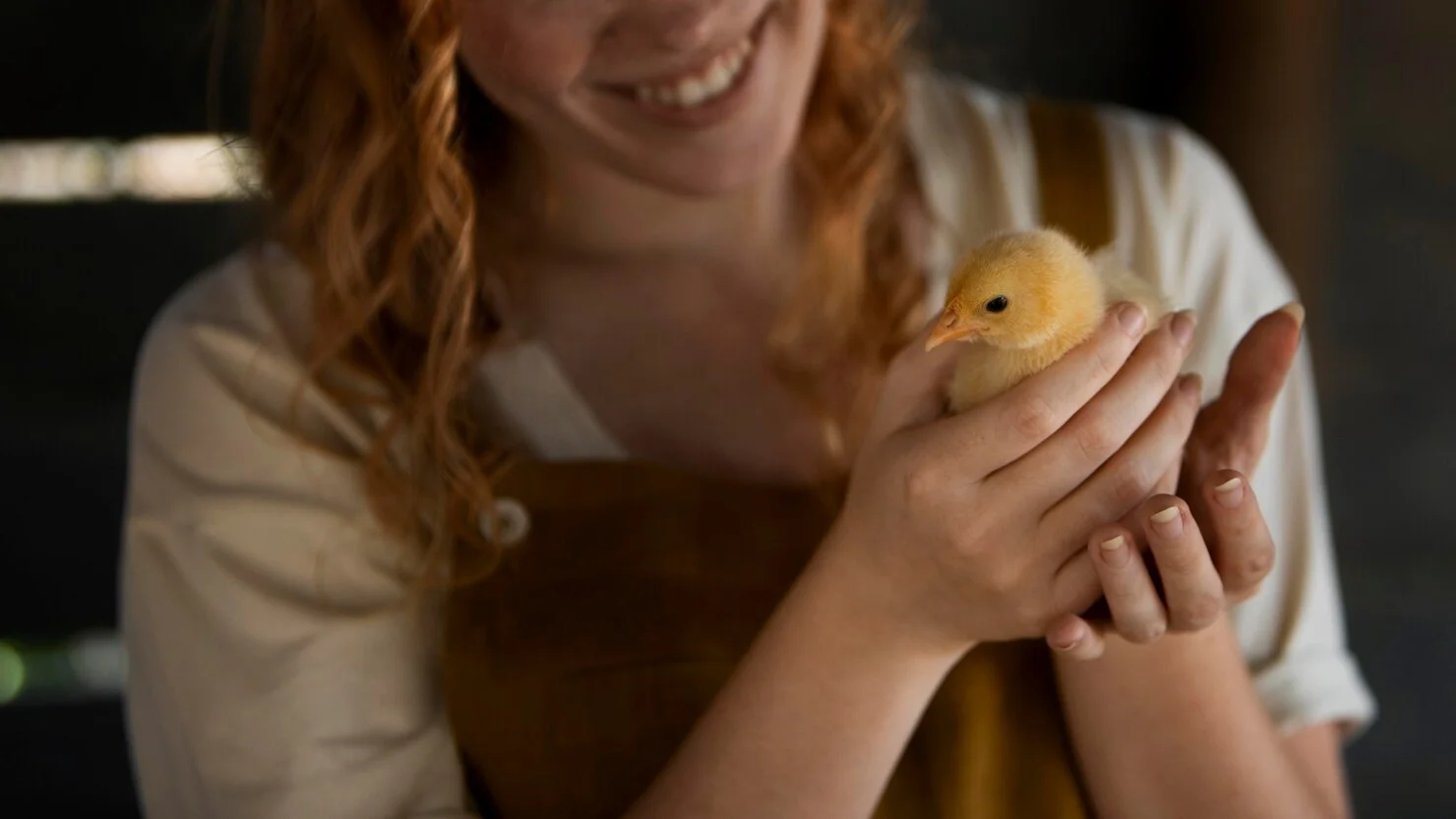 internet chicks