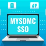 Everything About Mysdmc SSO