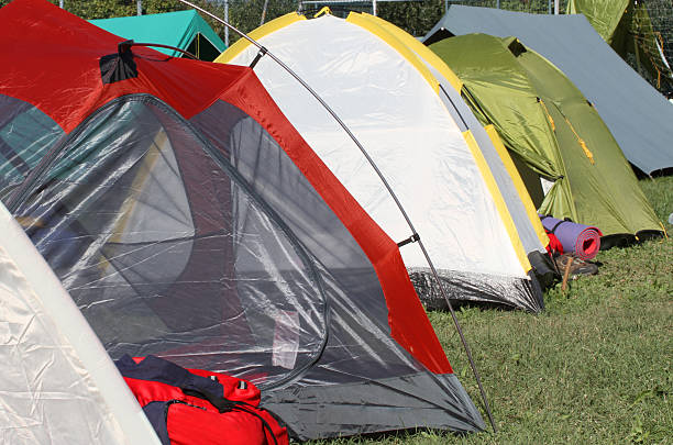 Profitable Summer Camp Business