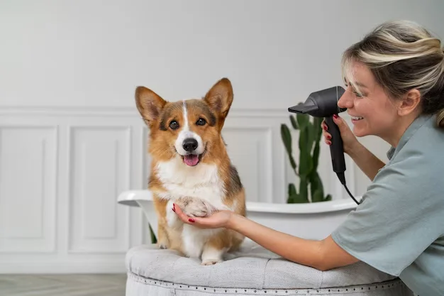Dog Wash Spots