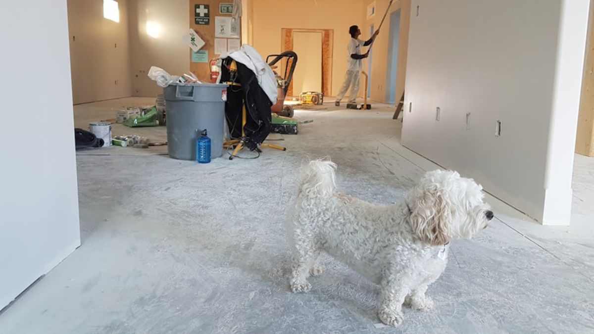 HOME REPAIRS