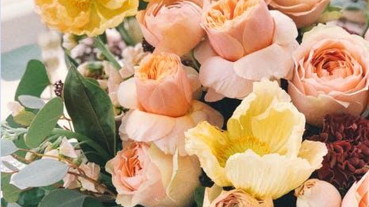 flowers shop