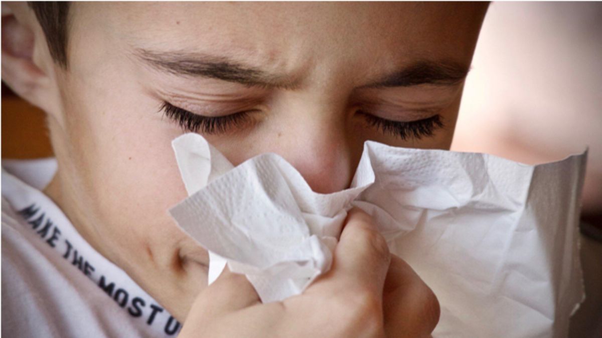 allergy testing kit