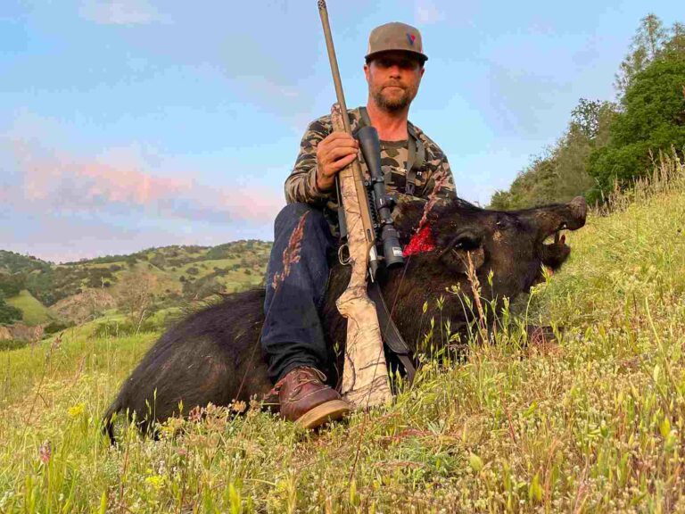 California Hog Hunting