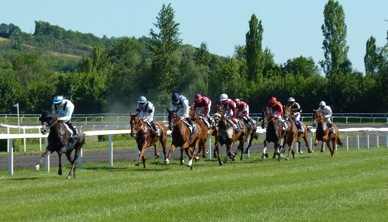 Breeders' Cup Races