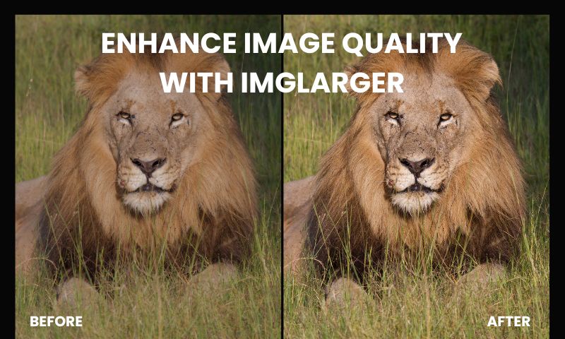 Imglarger