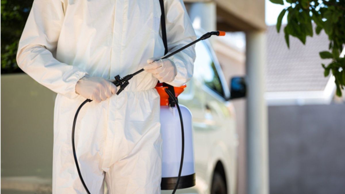 Affordable Exterminator