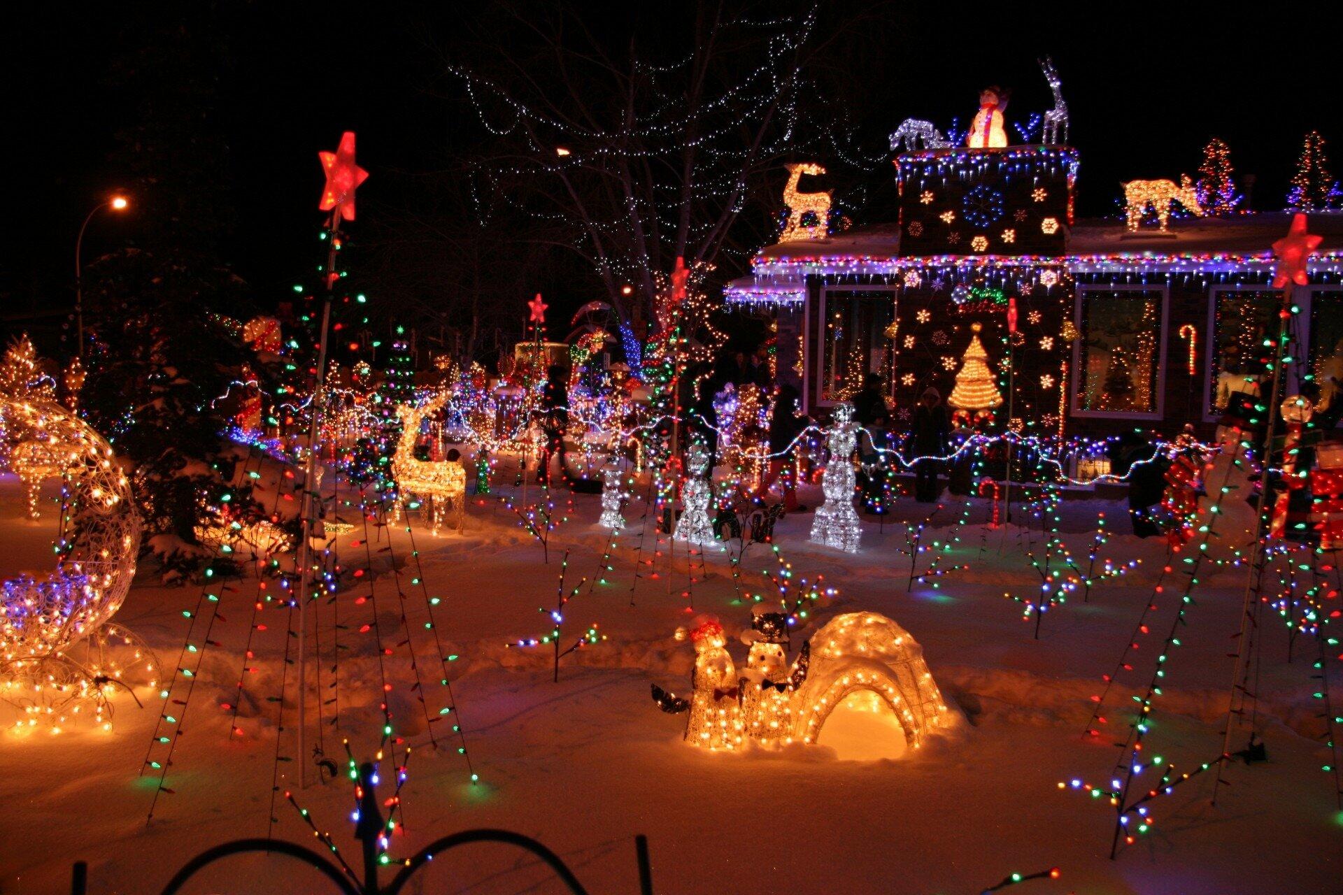 christmas dinner show