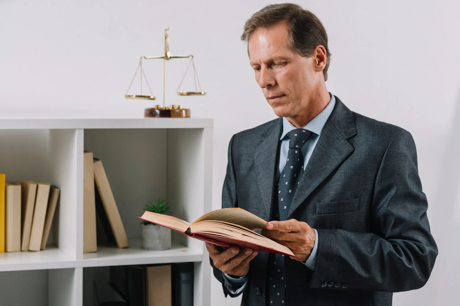 Criminal Defense Attorneys