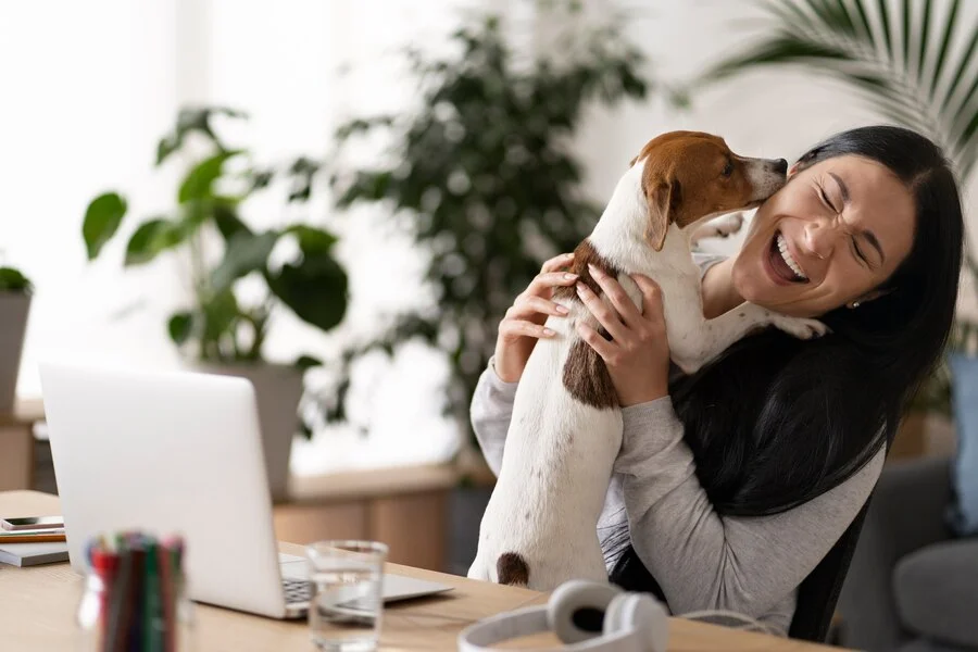 Is Pet Insurance Worth It?