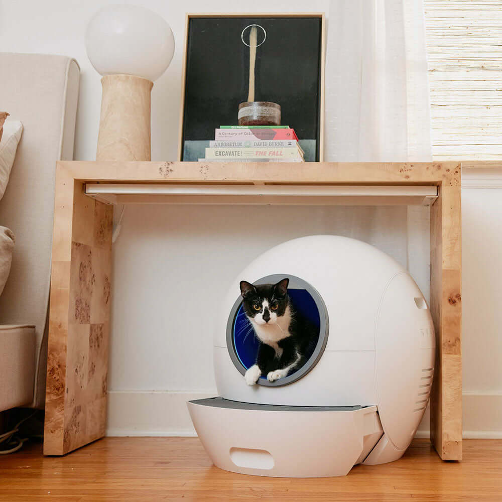 Cat Litter Box