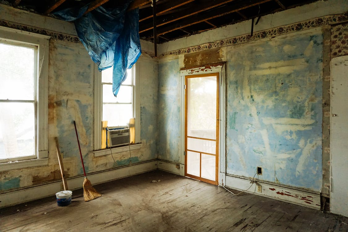 Local Options For Quick Removal