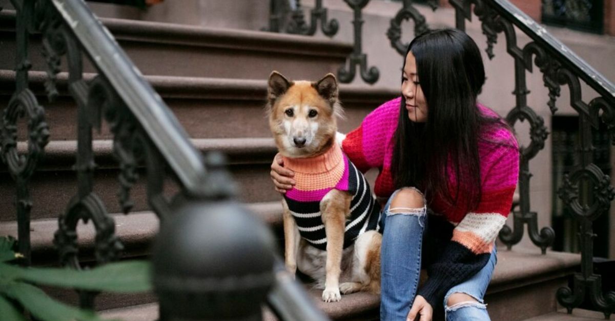 PETS IN CHINESE