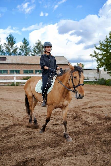horse trainer