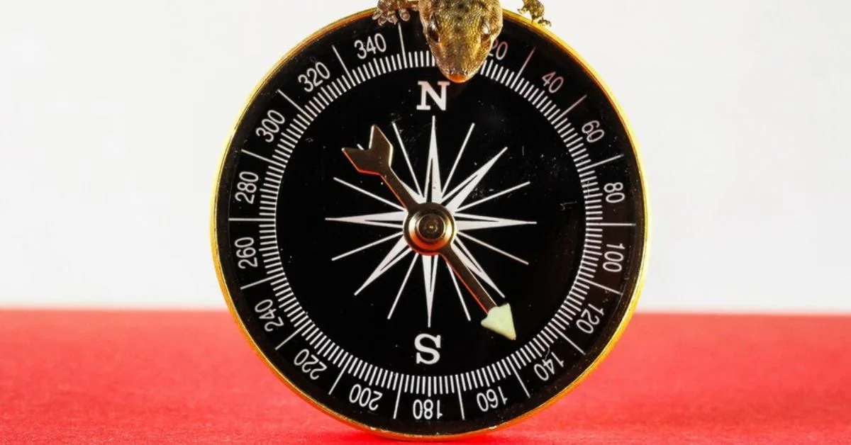 bussola to measure angles within a circle leonardo da Vinci