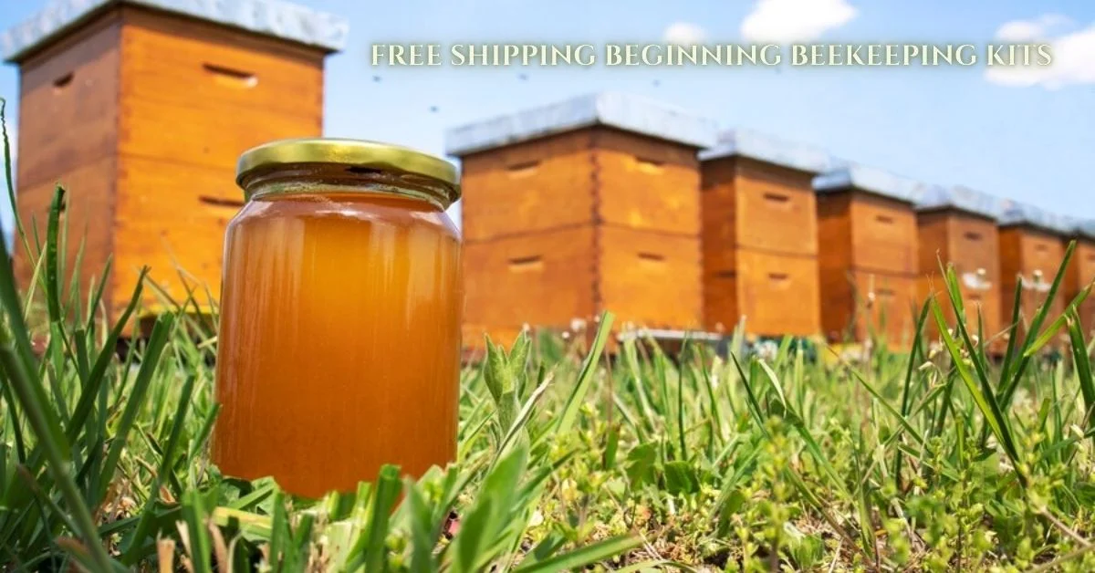 free shipping beginning beekeeping kits