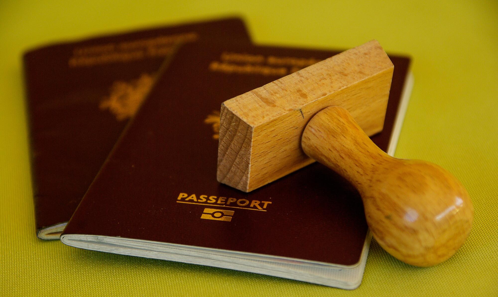 immigration lawyer