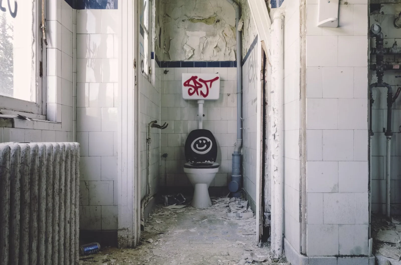 Mold in Your Home and Office