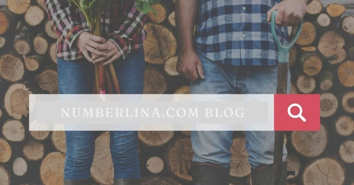 numberlina.com blog
