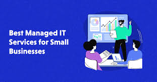 IT Support Businesses