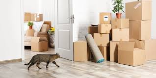 Packing and Moving a Two-Room Apartment Fast