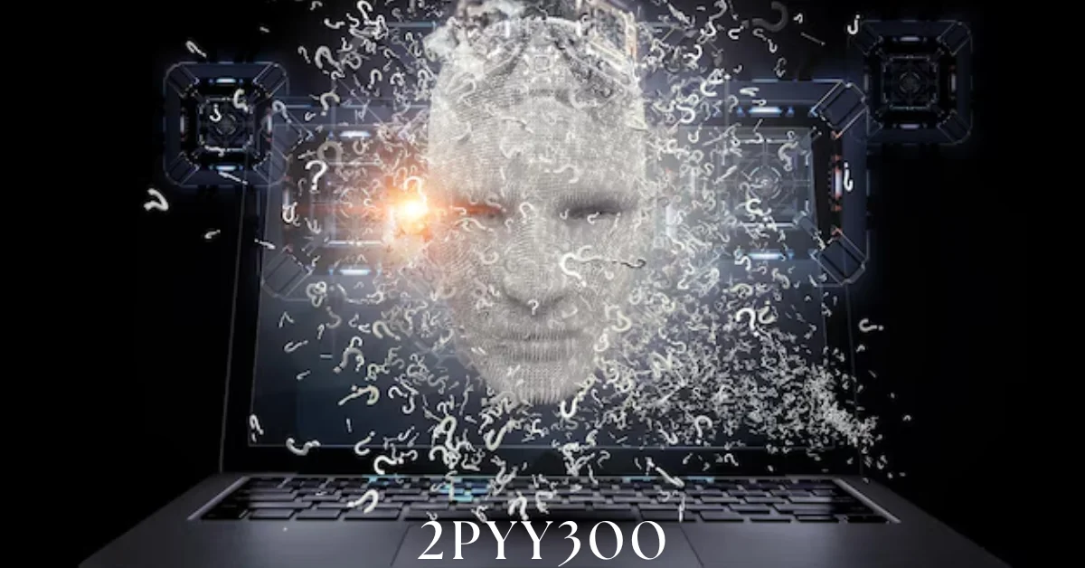 2pyy300
